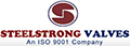 STEELSTRONG VALVES (I) PVT. LTD.
