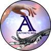 AUTONETIC INDIA