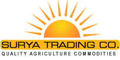 SURYA TRADING CO.