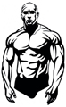 FIT N FITNESS