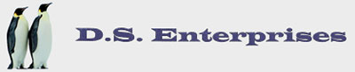 D. S. ENTERPRISES