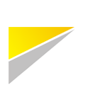 FLYBIRD INC.