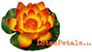 LOTUS PETALS HANDICRAFT