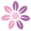 SURYA SANKARA TRADING PVT. LTD.