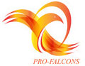 PRO-FALCONS MACHINERY MANUFACTURERS
