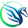 PEGASUS OVERSEAS