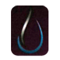 IONS TREAT SERVICES CO.