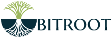 BITROOT INTERNATIONAL NIGERIA LIMITED