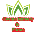SEEMA NURSERY AND FARMS