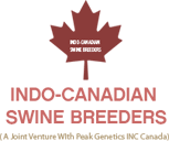 INDO CANADIAN SWINE BREEDERS