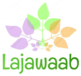 SATYA SOLAR SYSTEMS PVT. LTD.