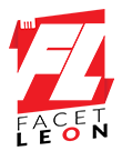 FACETLEON SOLUTIONS LLP