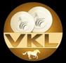 VIREN ENTERPRISES