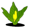 HERBAL BODY CURE PVT. LTD.