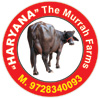 HARYANA THE MURRAH FARMS