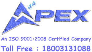 APEX TECHNOLOGY