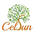 Celsun Ecoenergy And Infratech Holdings Private Limited