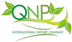 QNP International Export Company