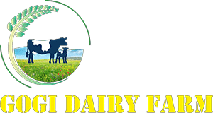 Gogi Dairy Farm