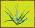 M/S LOHARU AGRO FARM