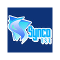 SYNCO INDUSTRIES LIMITED
