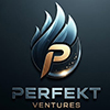 PERFEKT VENTURES