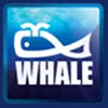 Whale Enterprise Pvt Ltd