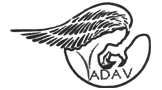Yadav Fashion House