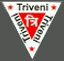 TRIVENI ELECTROFAB (P) LTD.