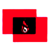 RADIANT FIRE PROTECTION ENGINEERS PVT. LTD.