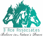 3 ACE ASSOCIATES