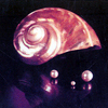 THE POLYMER PAINTS