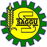 SAGGU ENGINEERING INDUSTRIES