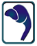 RASA ASSOCIATES