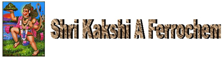 Shri Kakshi A Ferrochem