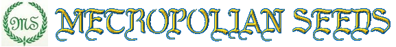 METROPOLIAN SEEDS