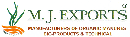 M. J. EXPORTS