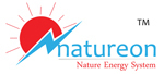 NATURE ENERGY SYSTEM