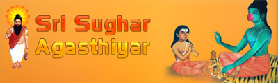 SRI SUGHAR AGASTHIYAR NAADI JOTHIDA NILAYAM