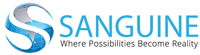 SANGUINE  SOFTWARE SOLUTIONS PVT. LTD.