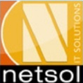 Netsol It Solution Pvt. Ltd.