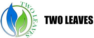 TWO LEAVES