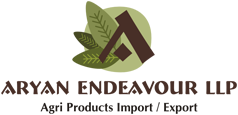 ARYAN ENDEAVOUR LLP