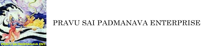 PRAVU SAI PADMANAVA ENTERPRISE