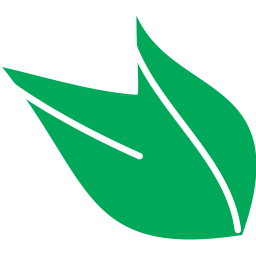BALAJI TIMBER AND PLYWOOD PRIVATE LIMITED