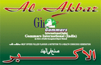 GAMMARS INTERNATIONAL (INDIA)