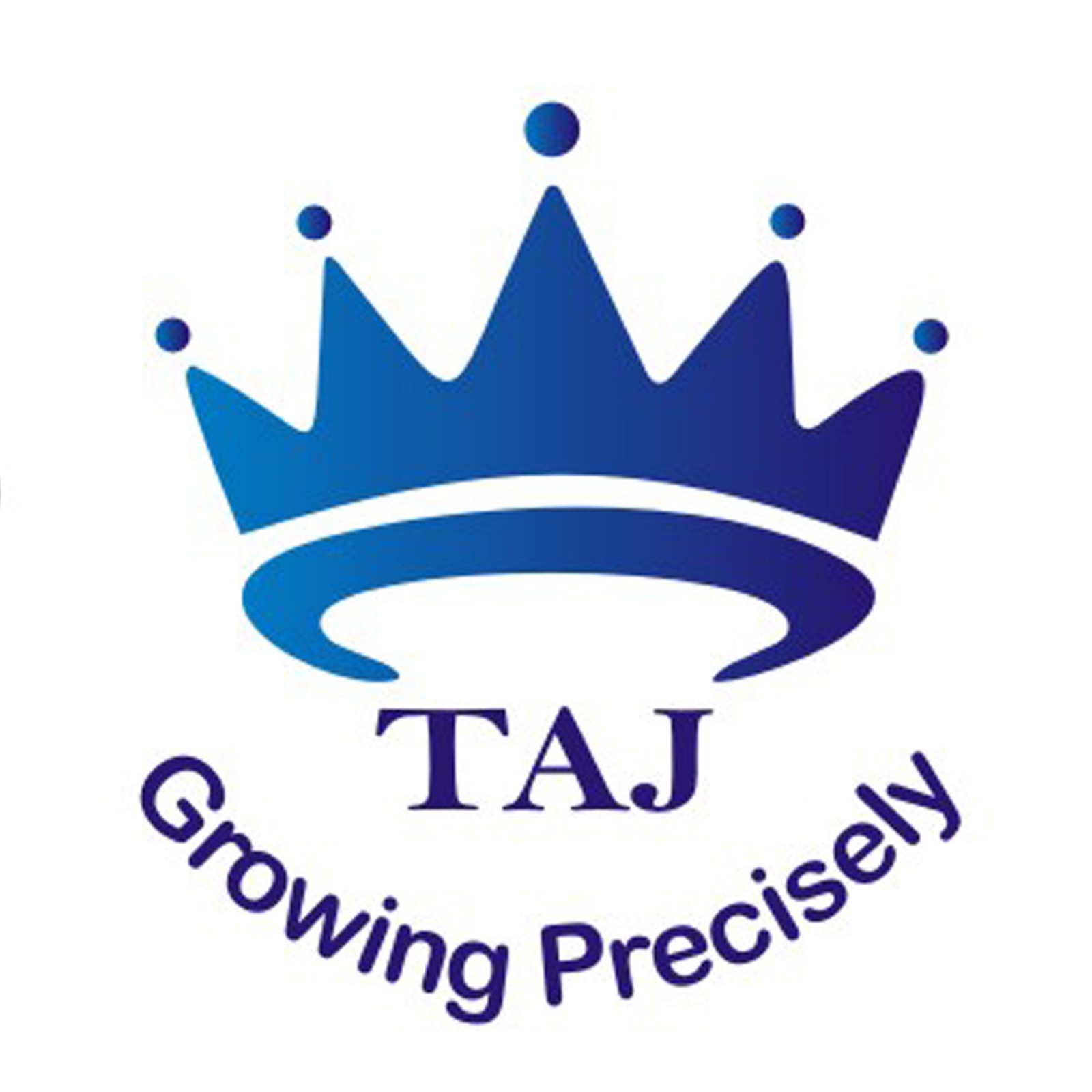 TAJ INDUSTRIES