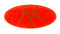 MINIMAX METALS & PLYWOOD PVT. LTD.