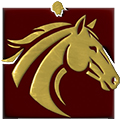 HORSE NATION