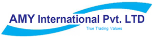 AMY INTERNATIONAL PRIVATE LIMITED